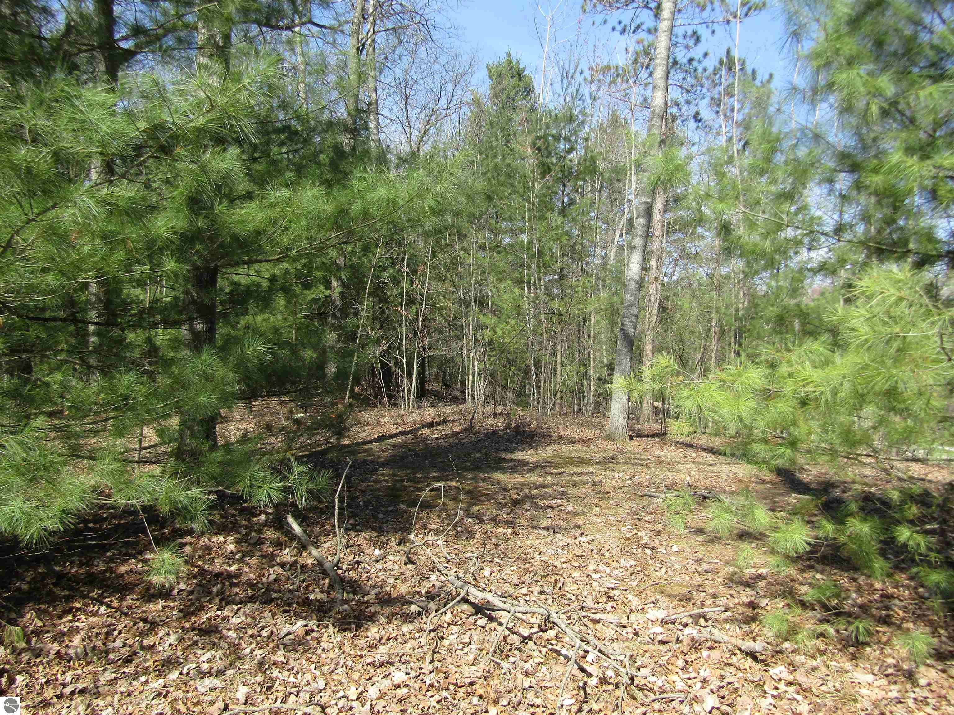00_VL Onondaga Trail