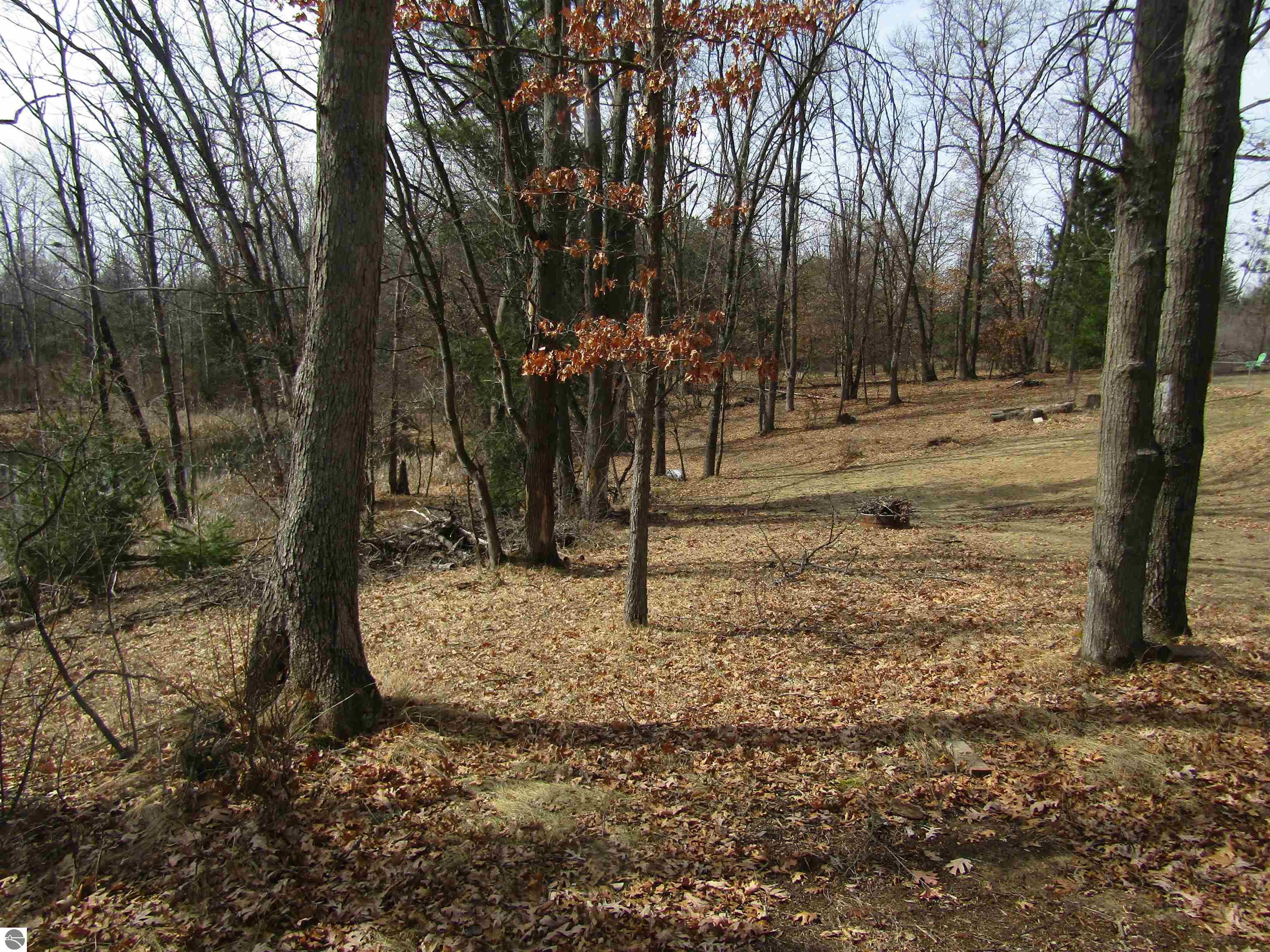 00_VL W Caribou Trail