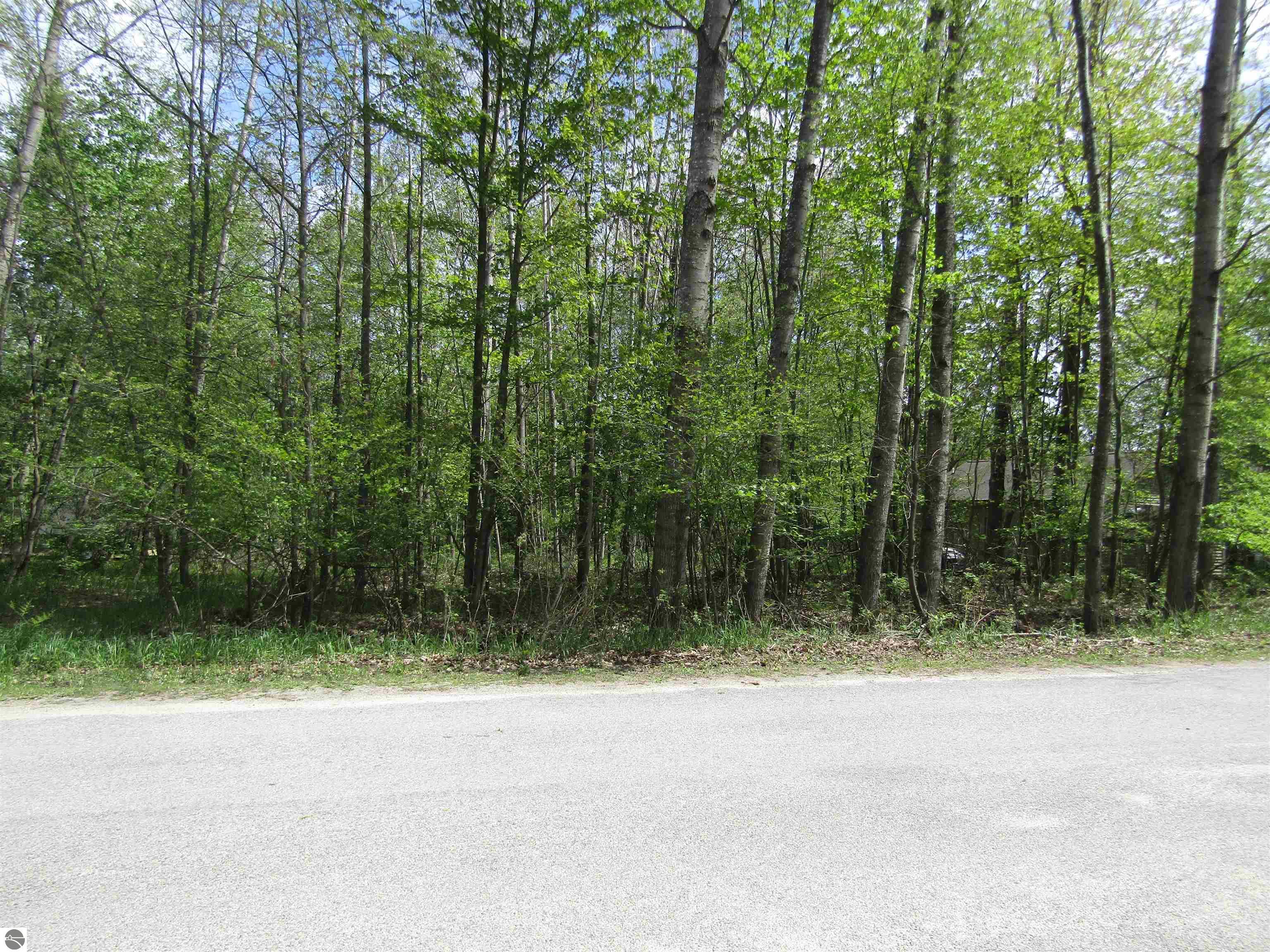 VL_199 W Caribou Trail