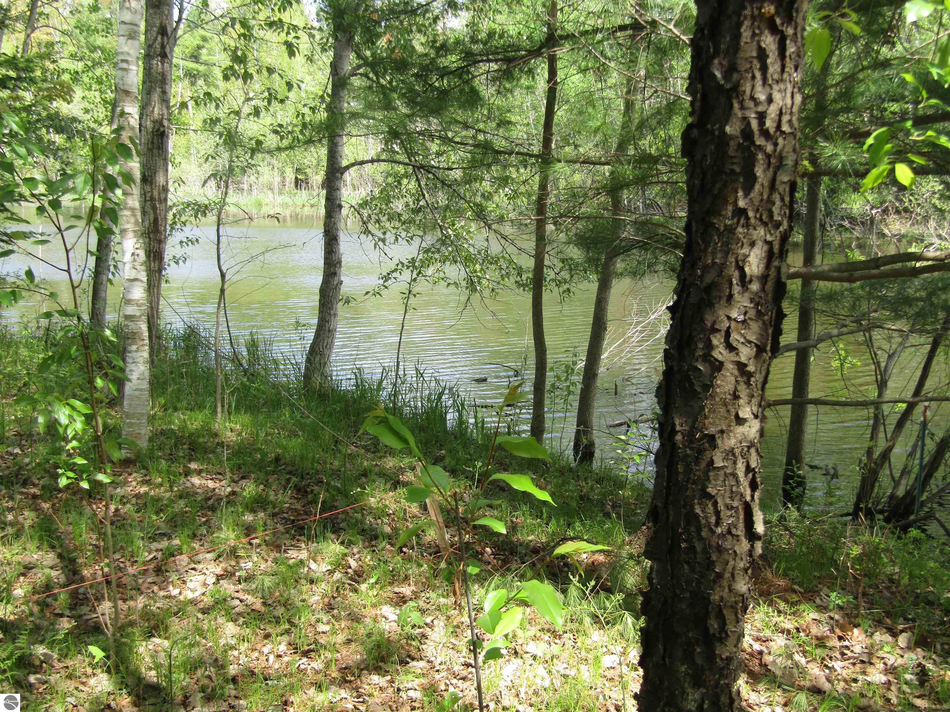 VL_199 W Caribou Trail