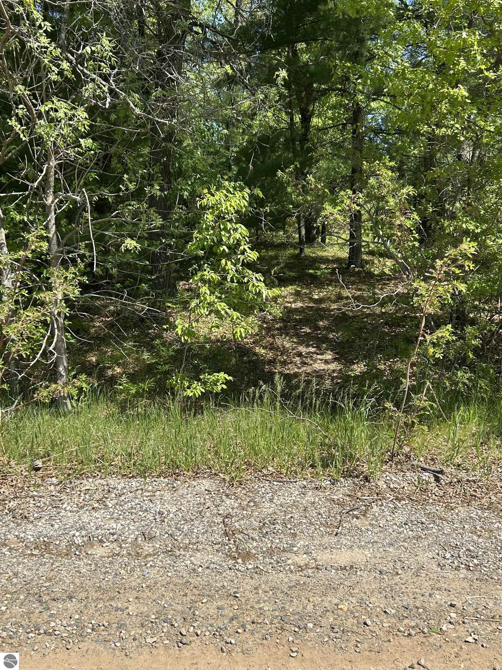 VL_737 Pontiac Trail
