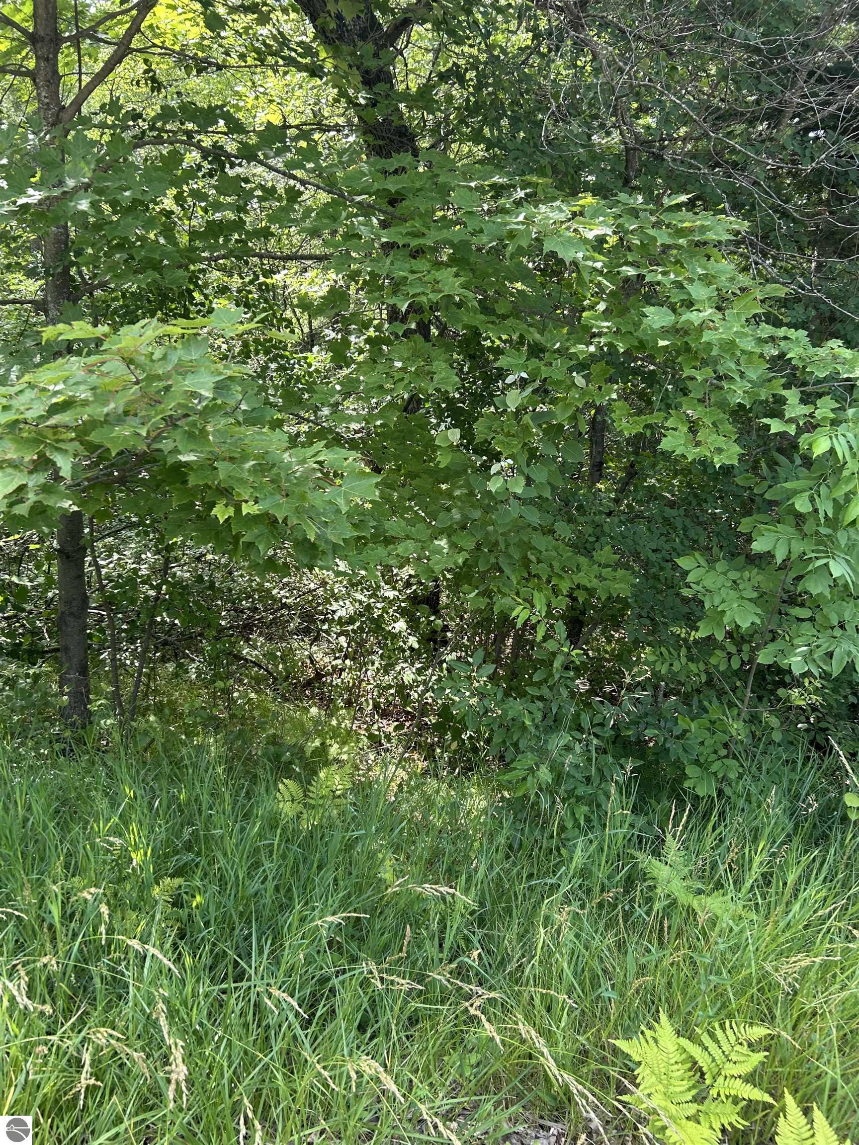 VL_819 Choctaw Trail