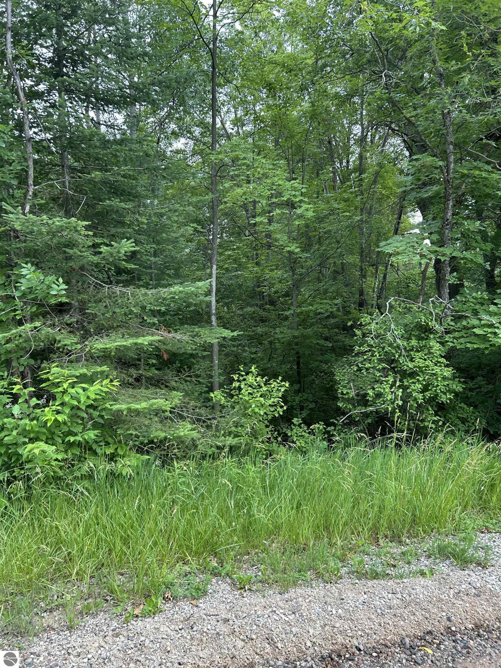 VL_819 Choctaw Trail