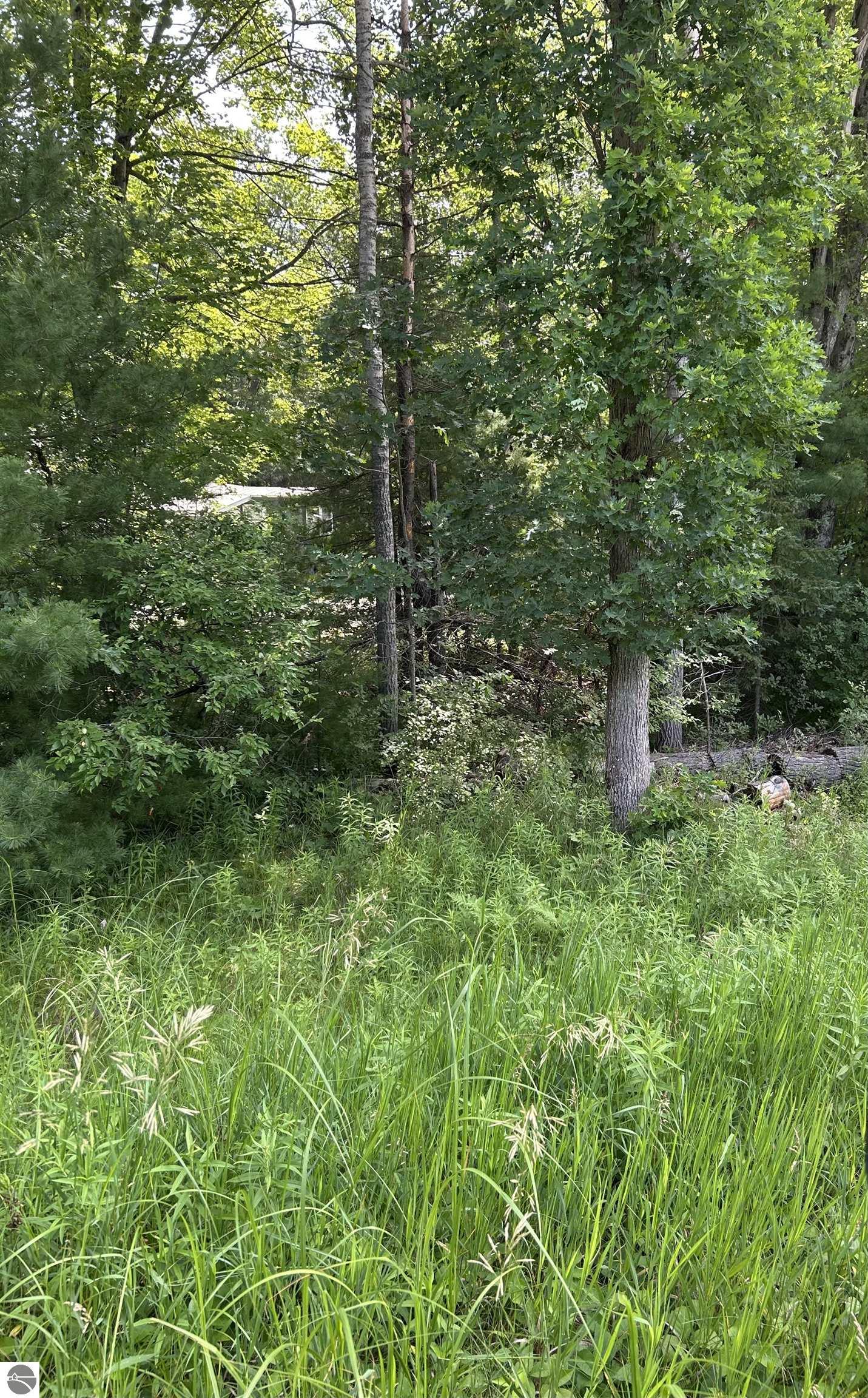VL_819 Choctaw Trail