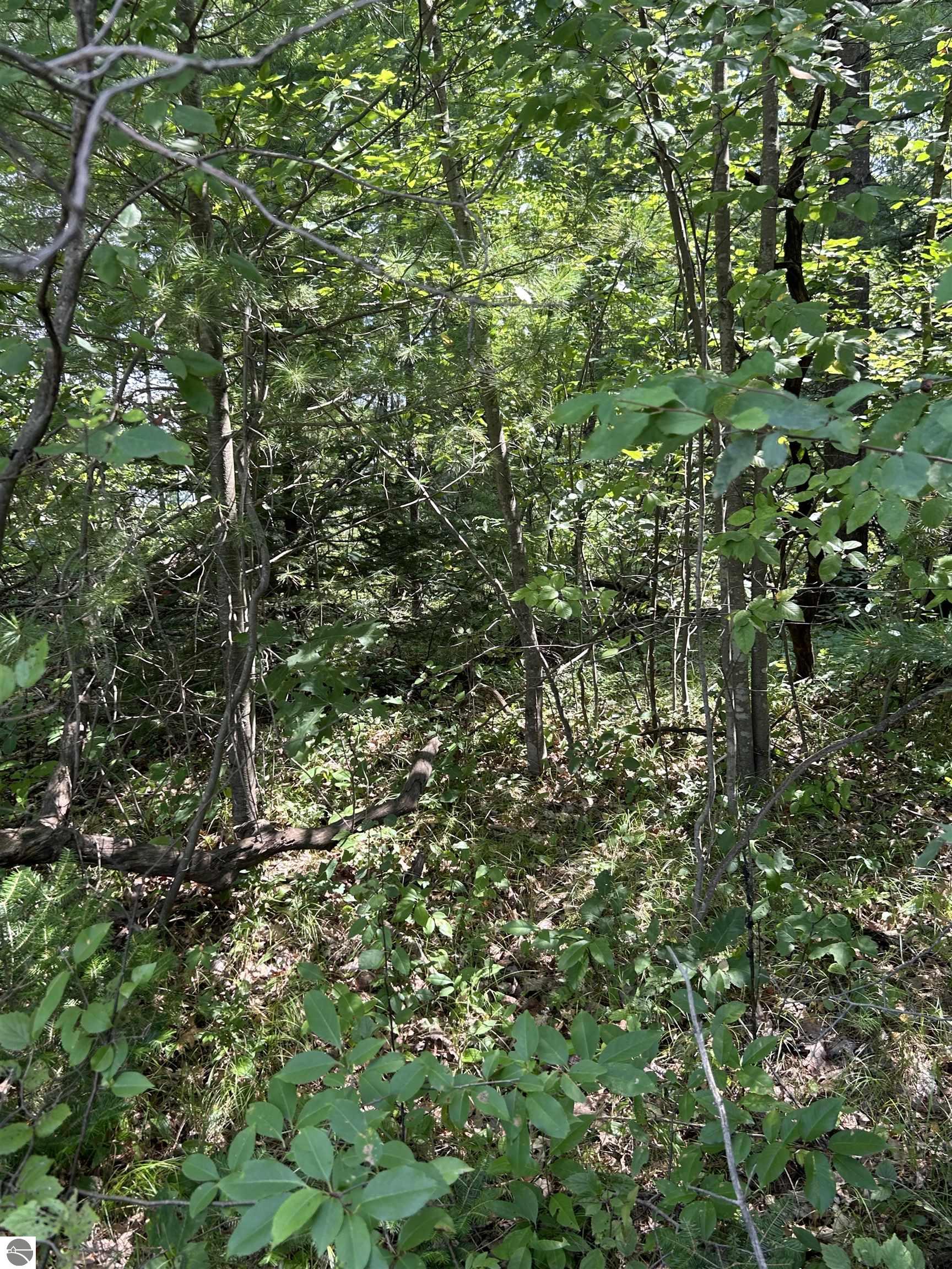 VL_828 Choctaw Trail