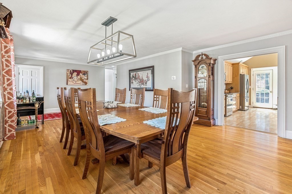19 Sedgemeadow Rd