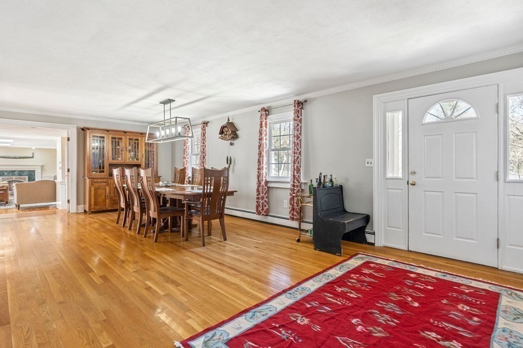 19 Sedgemeadow Rd