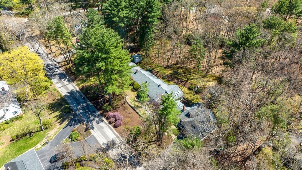 19 Sedgemeadow Rd