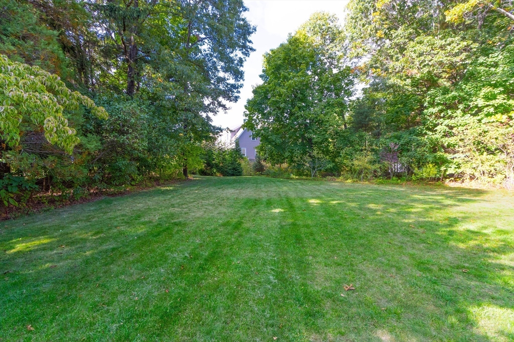 6 Cole Rd