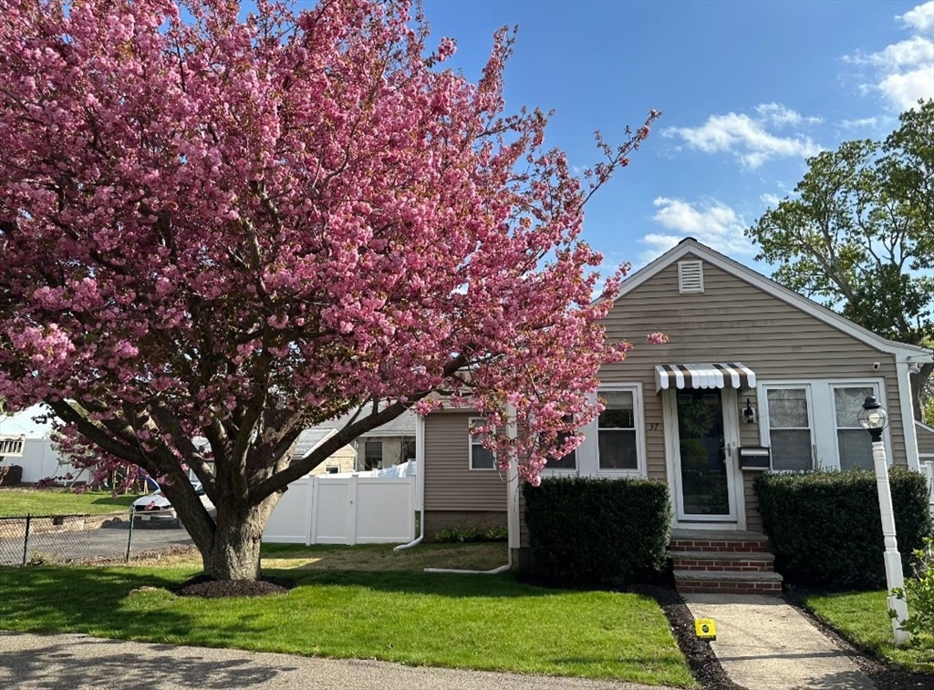 37 Pelican Rd