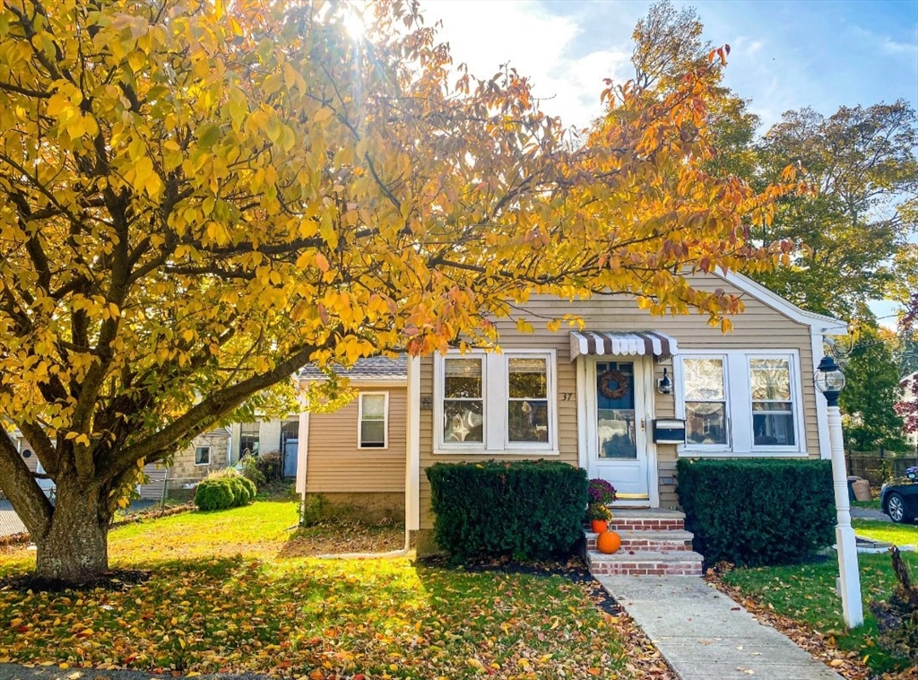 37 Pelican Rd