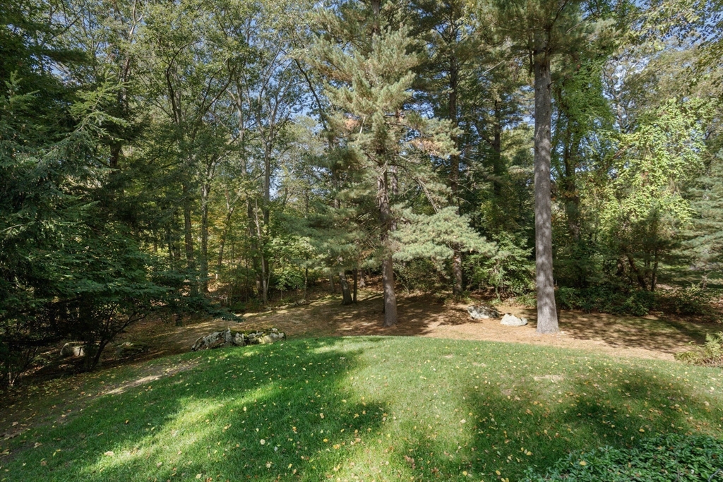 60 Possum Rd
