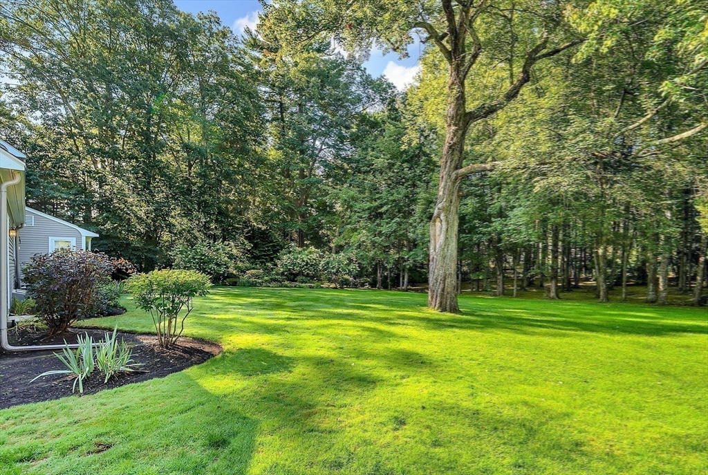 120 Wildwood Drive