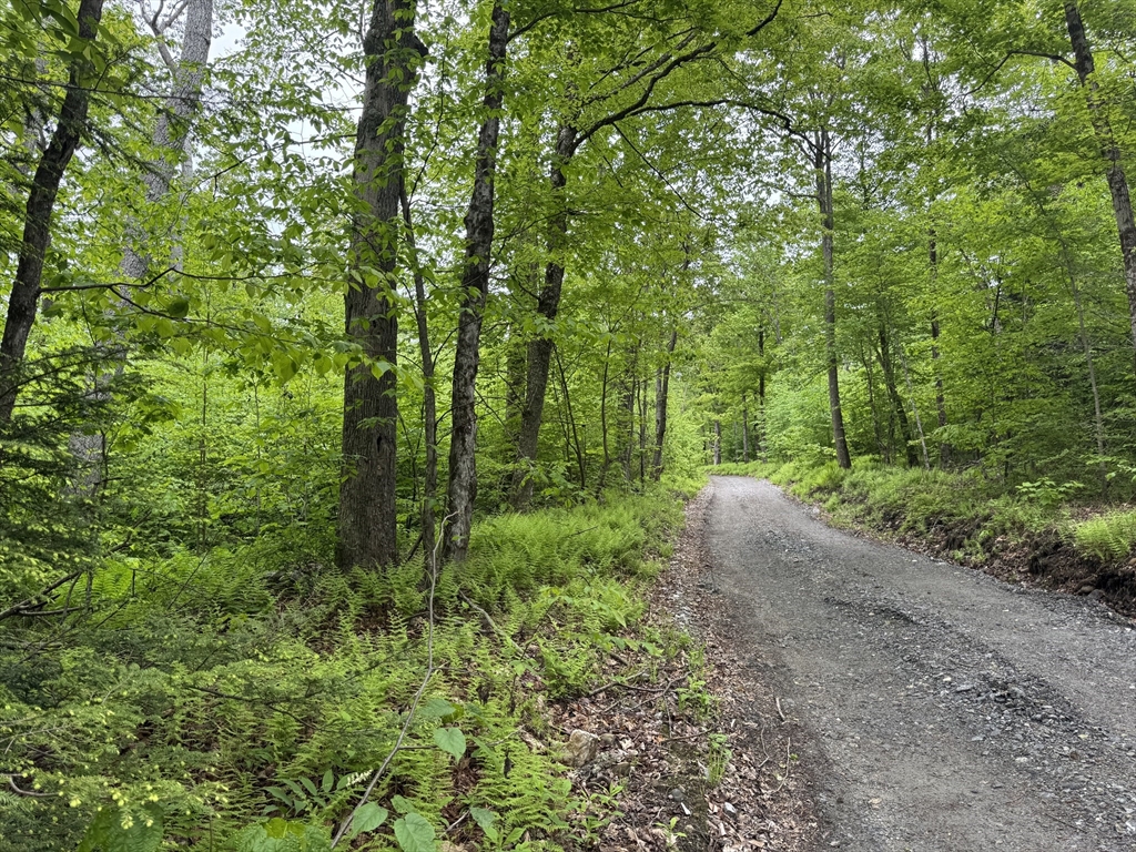 Lot "B" Beulah Land Rd