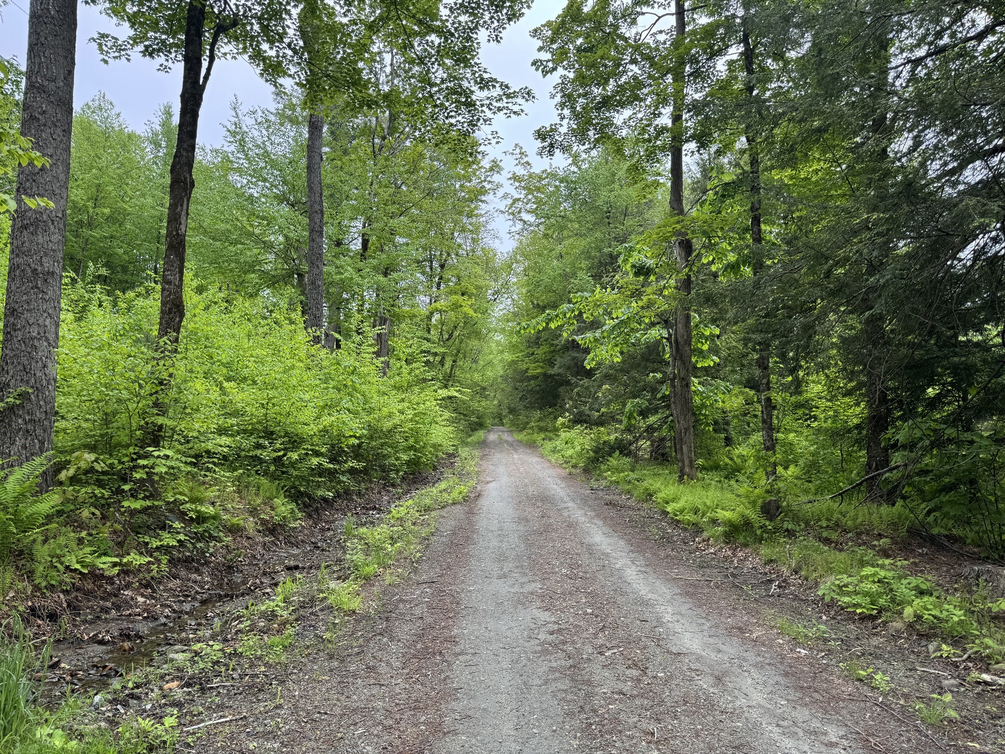 Lot "B" Beulah Land Rd