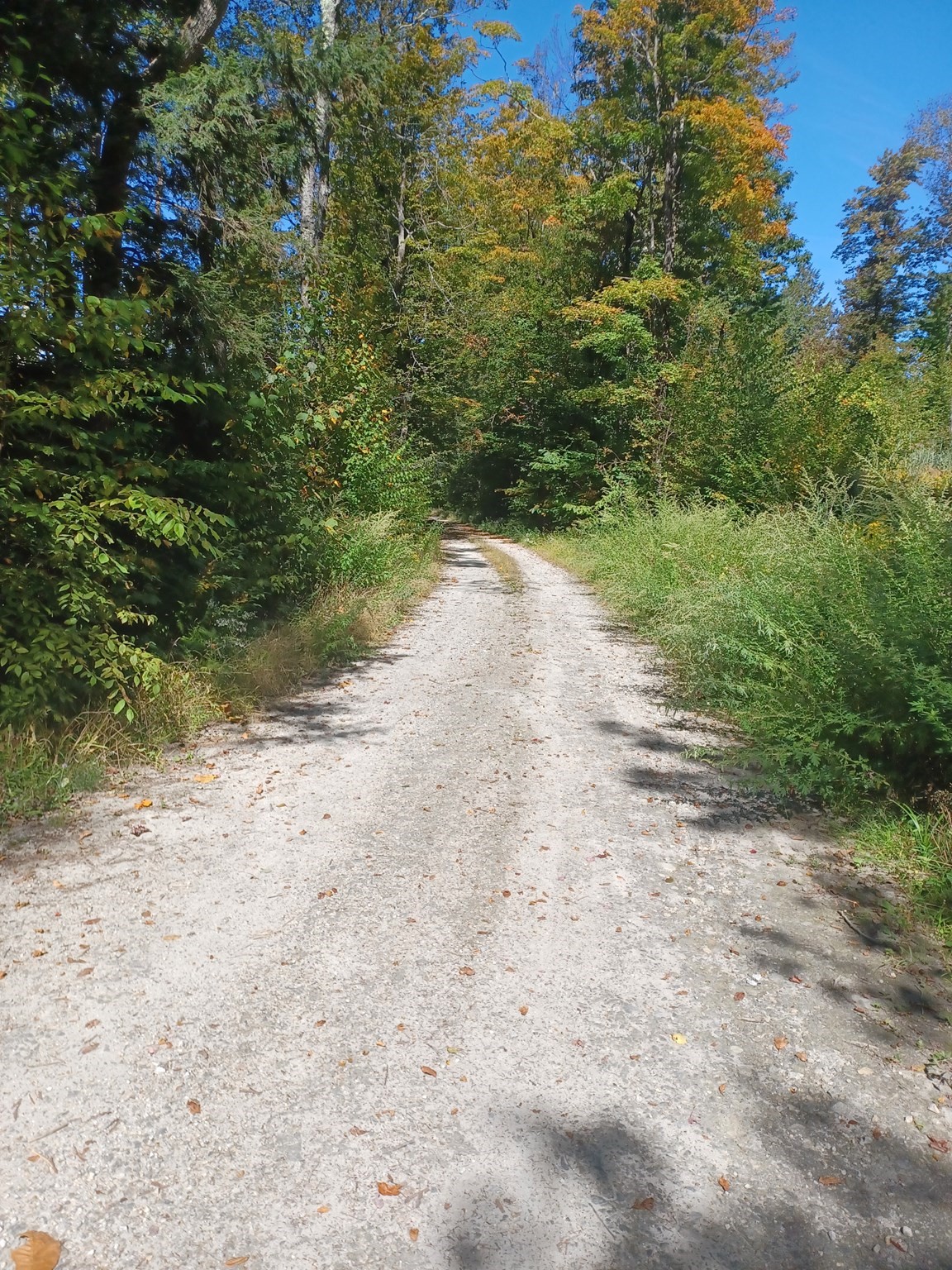 Lot "B" Beulah Land Rd