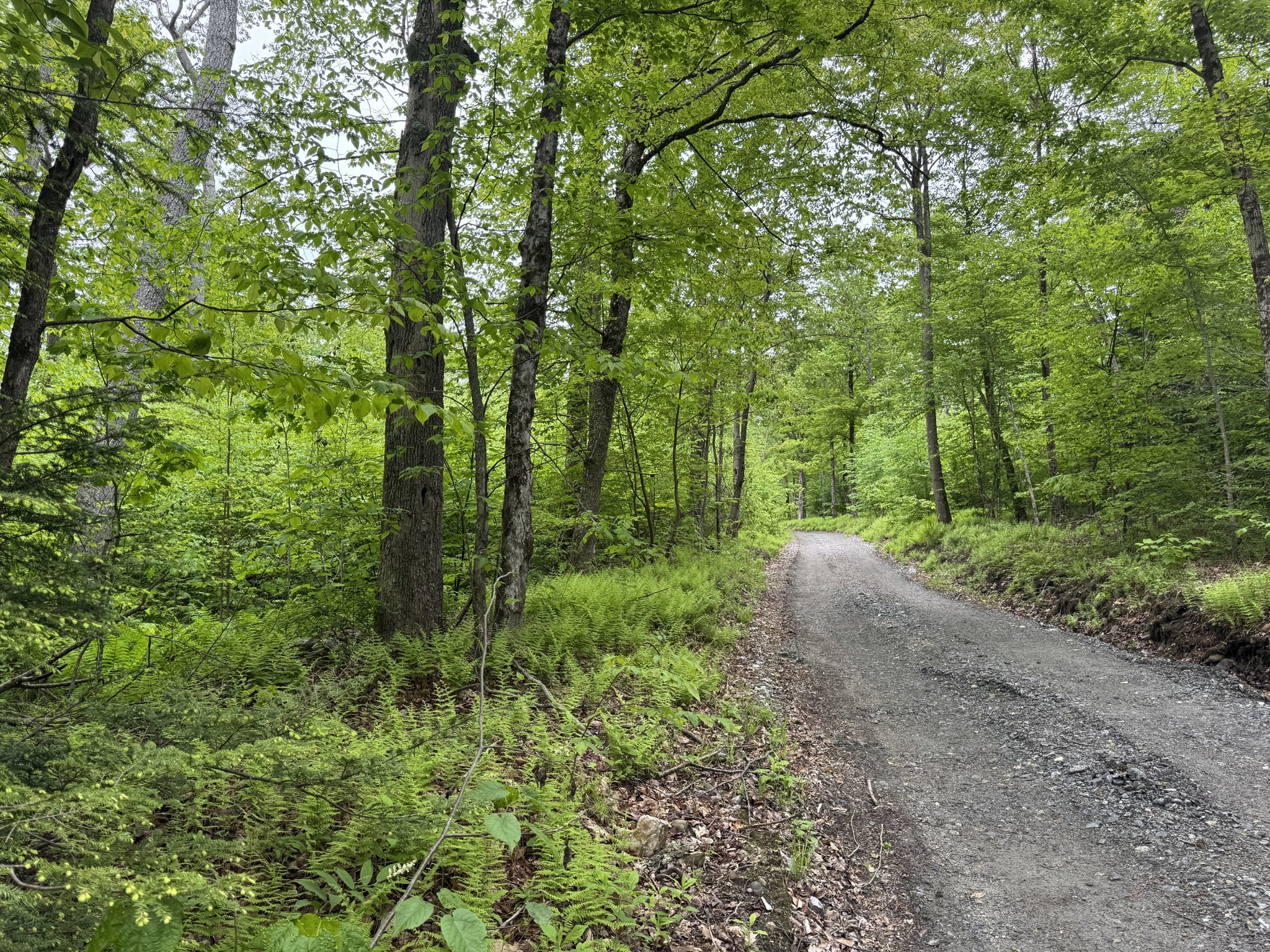 Lot "B" Beulah Land Rd