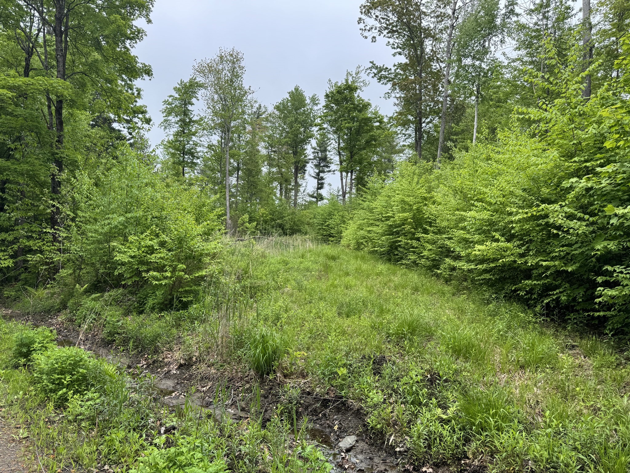 Lot "B" Beulah Land Rd