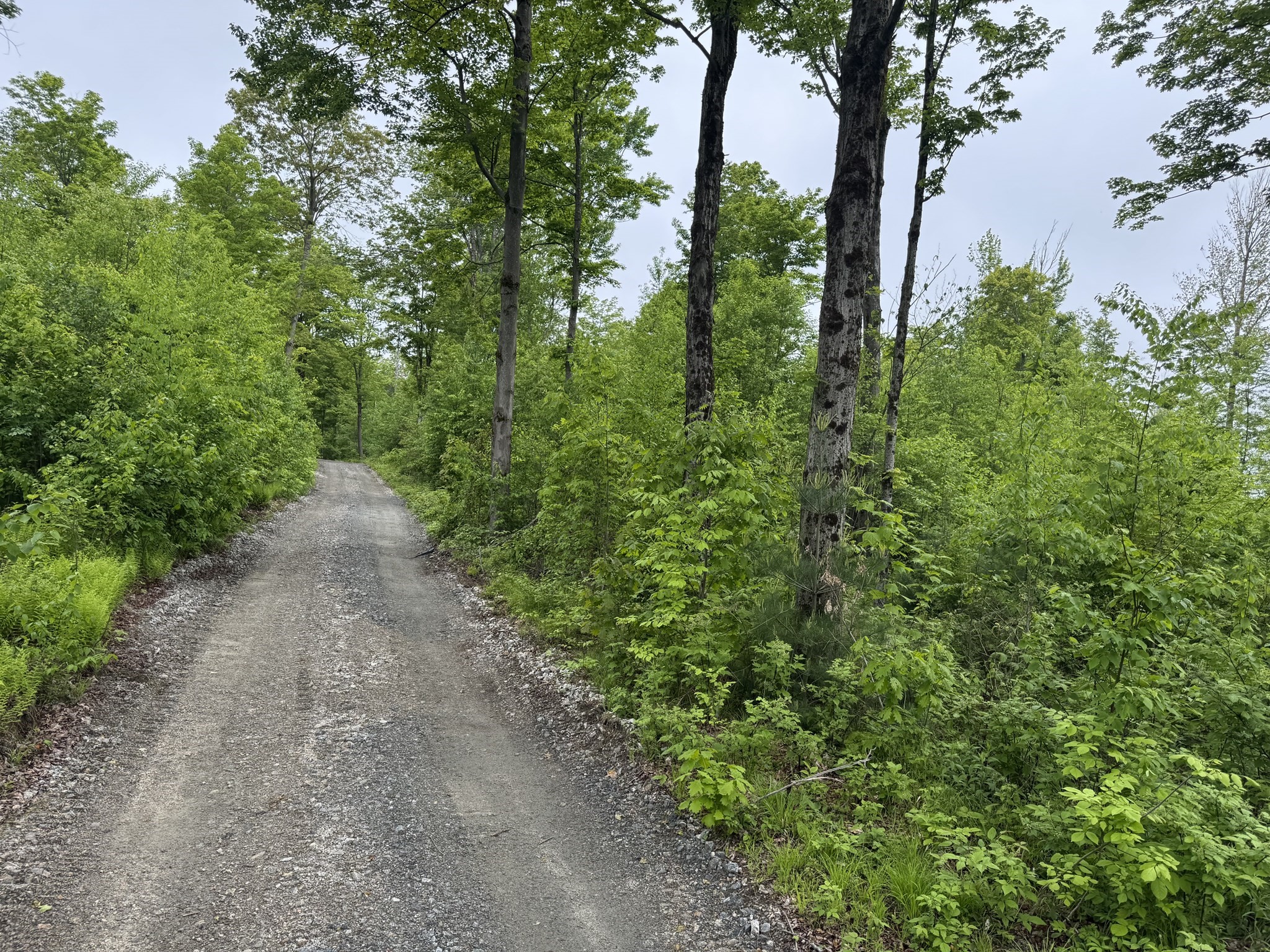 Lot "B" Beulah Land Rd