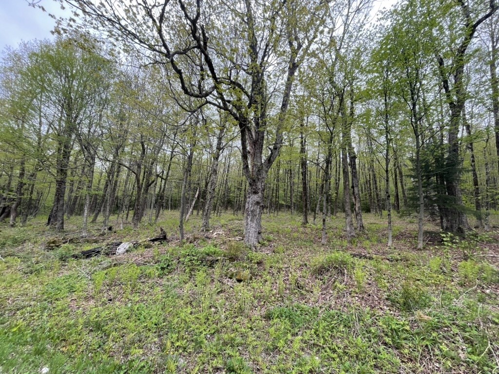 174 Tilda Hill Rd