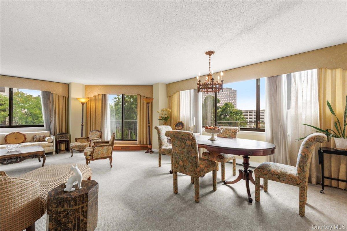 25 Rockledge Avenue Unit: 205