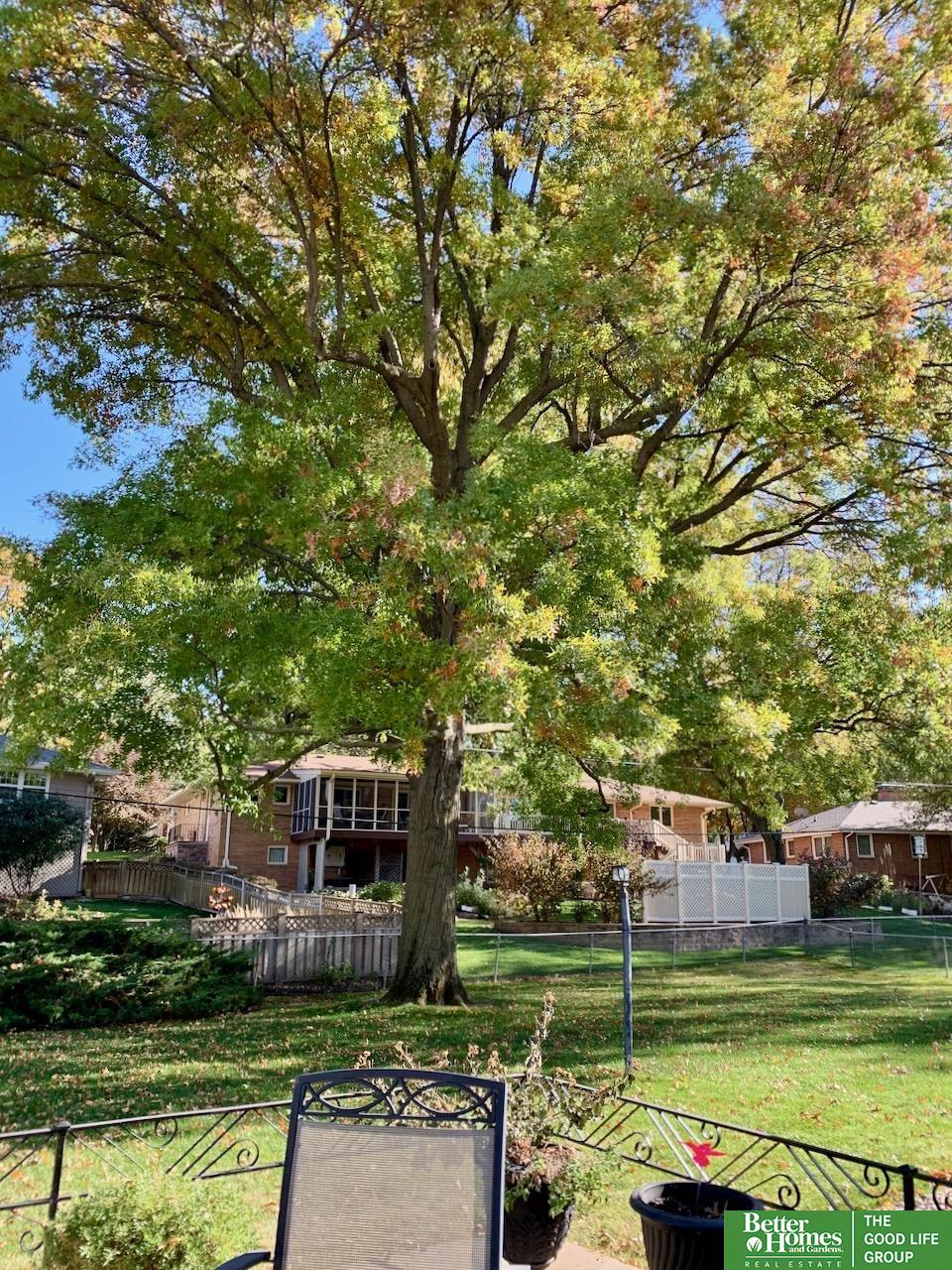 925 Dillon Drive