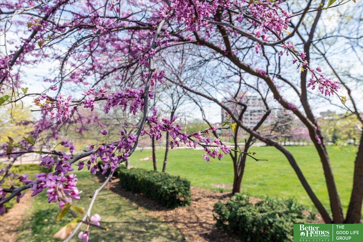 200 S 31 Avenue # 4610