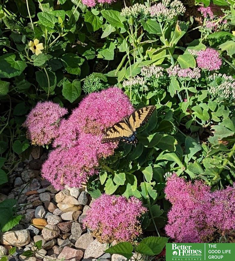 8333 Wyoming Street