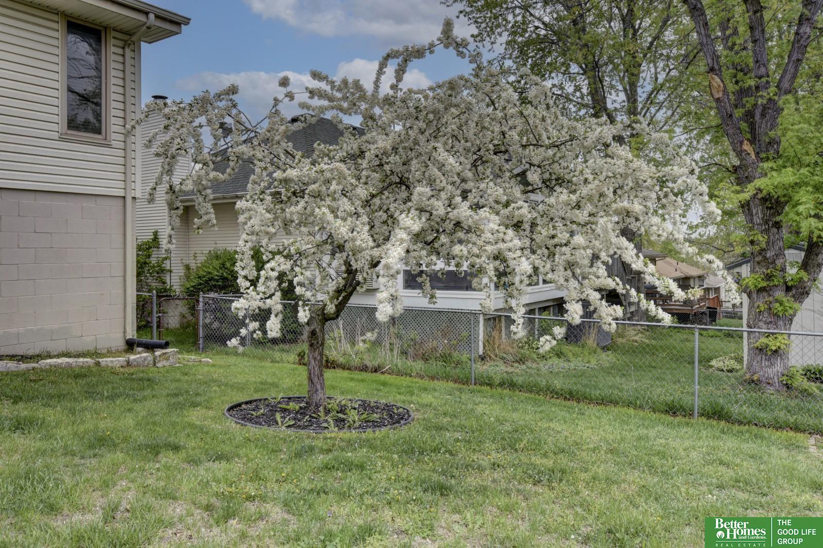 2201 Lucille Drive