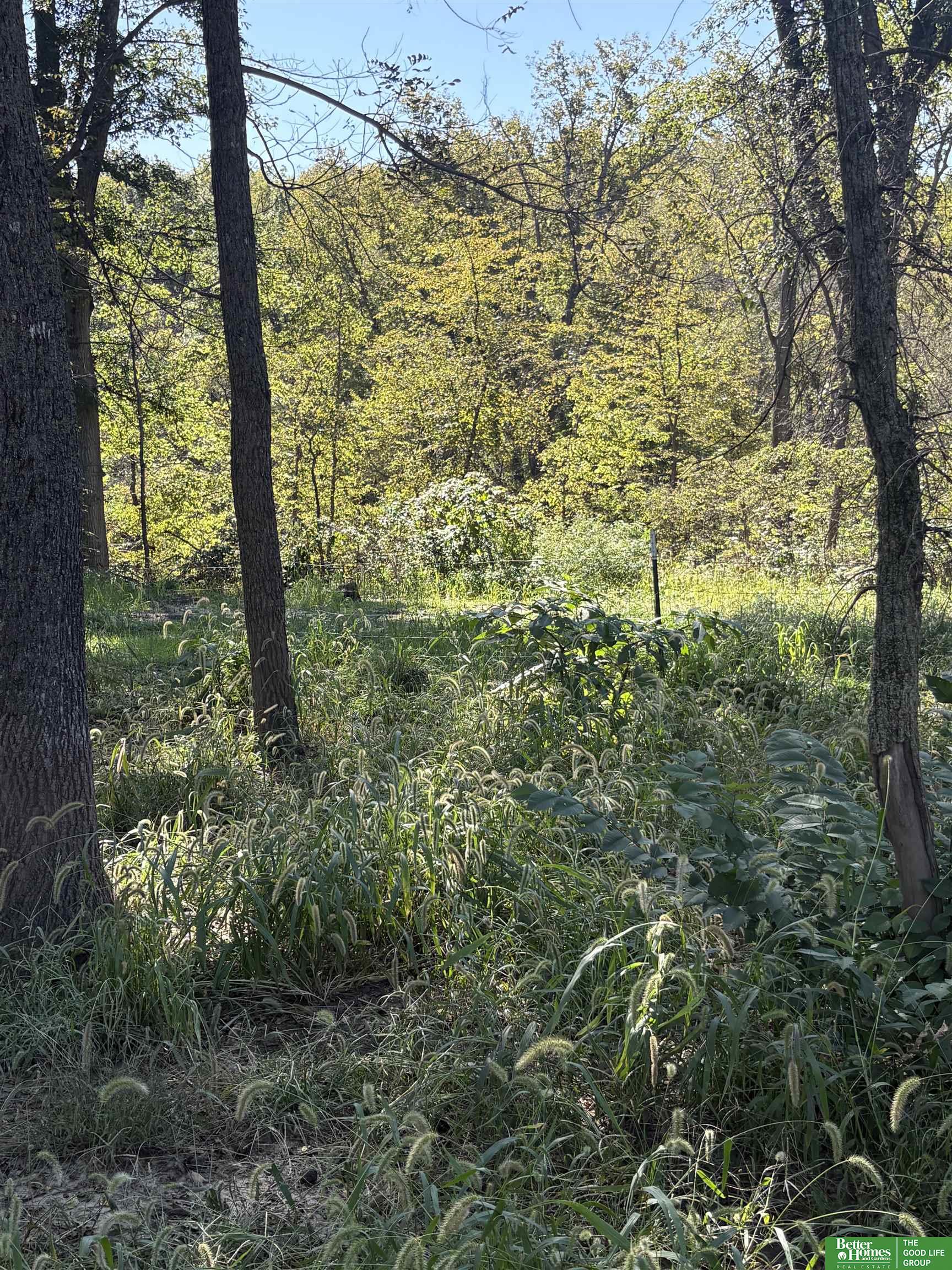 8565 County Road 41