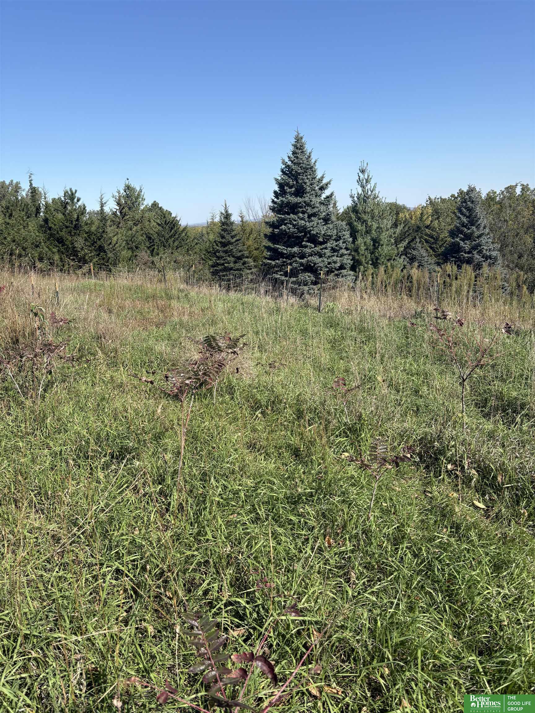 8565 County Road 41