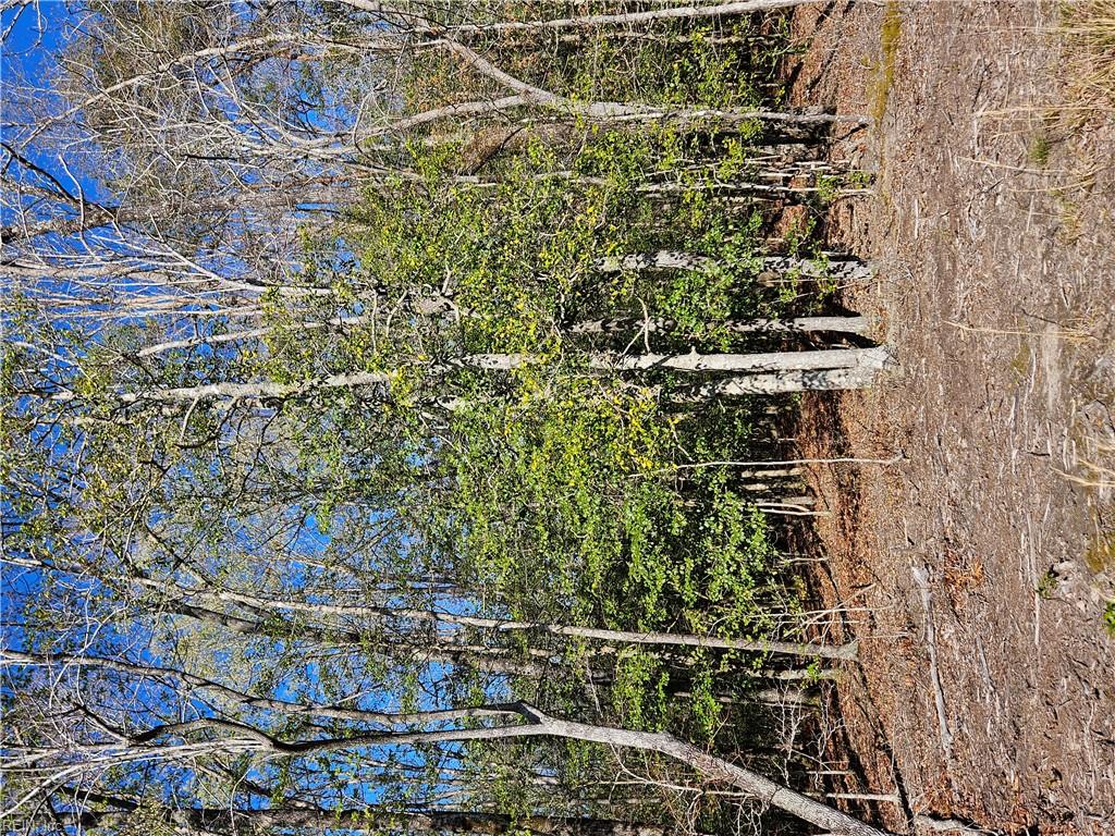 Lot 9 Hickory Hill LAND