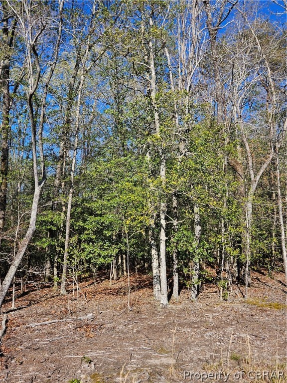 Lot 9 Hickory Hill Ln