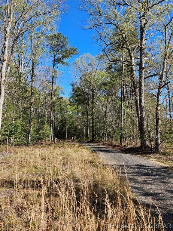 Lot 9 Hickory Hill Ln