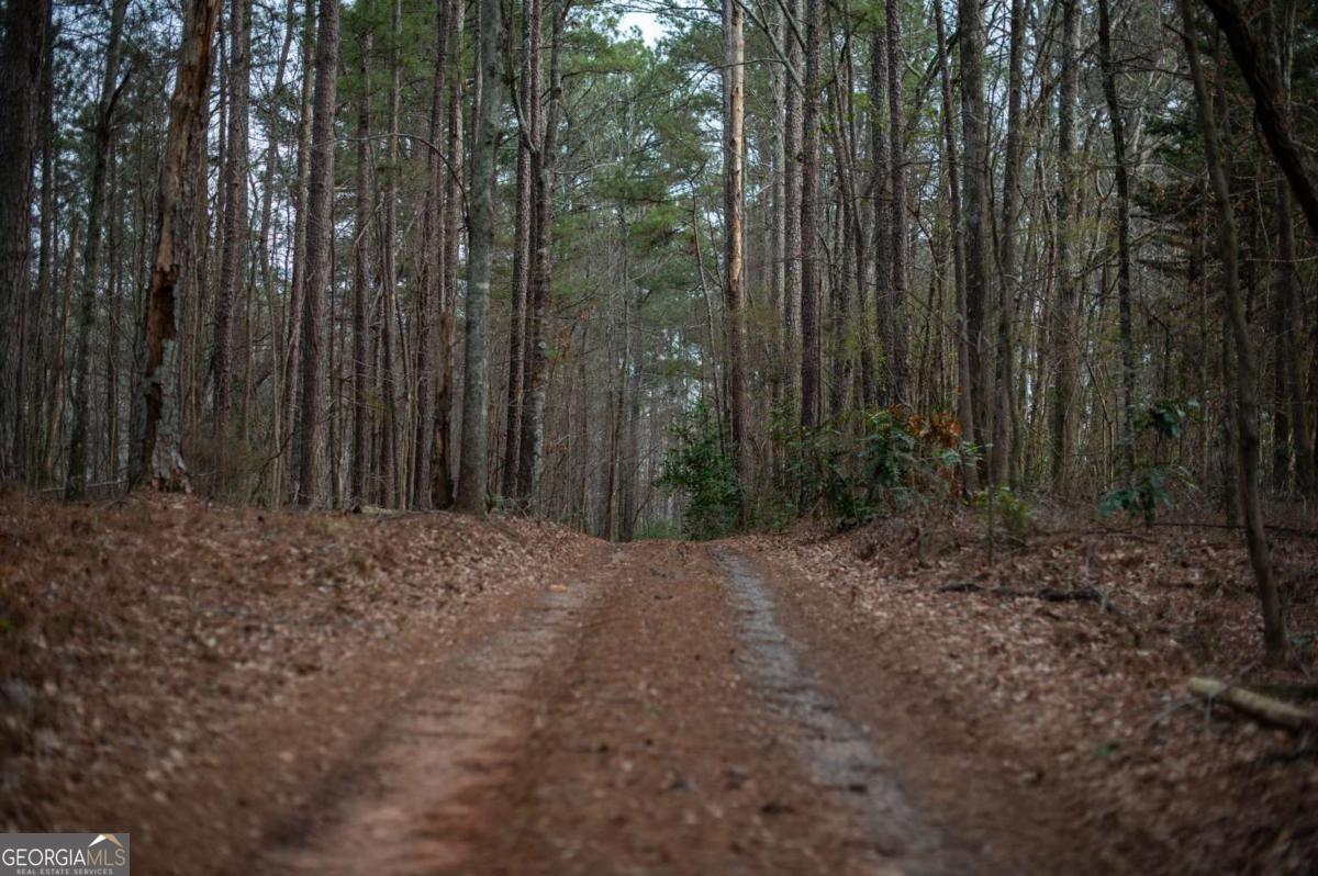 2020 Clotfelter Road