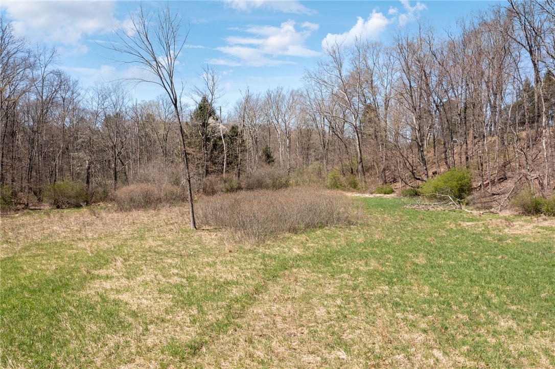 1593 Jacob Miller Rd
