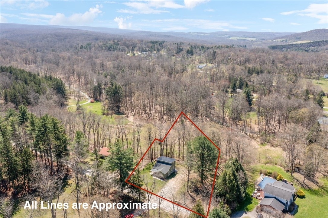 1593 Jacob Miller Rd