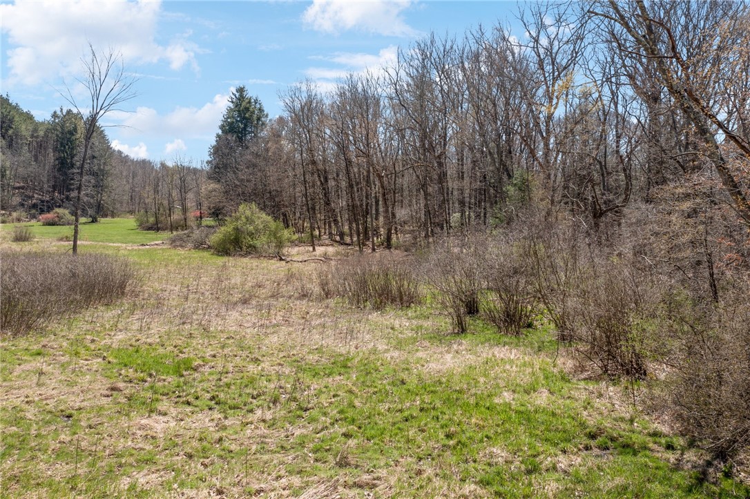 1593 Jacob Miller Rd