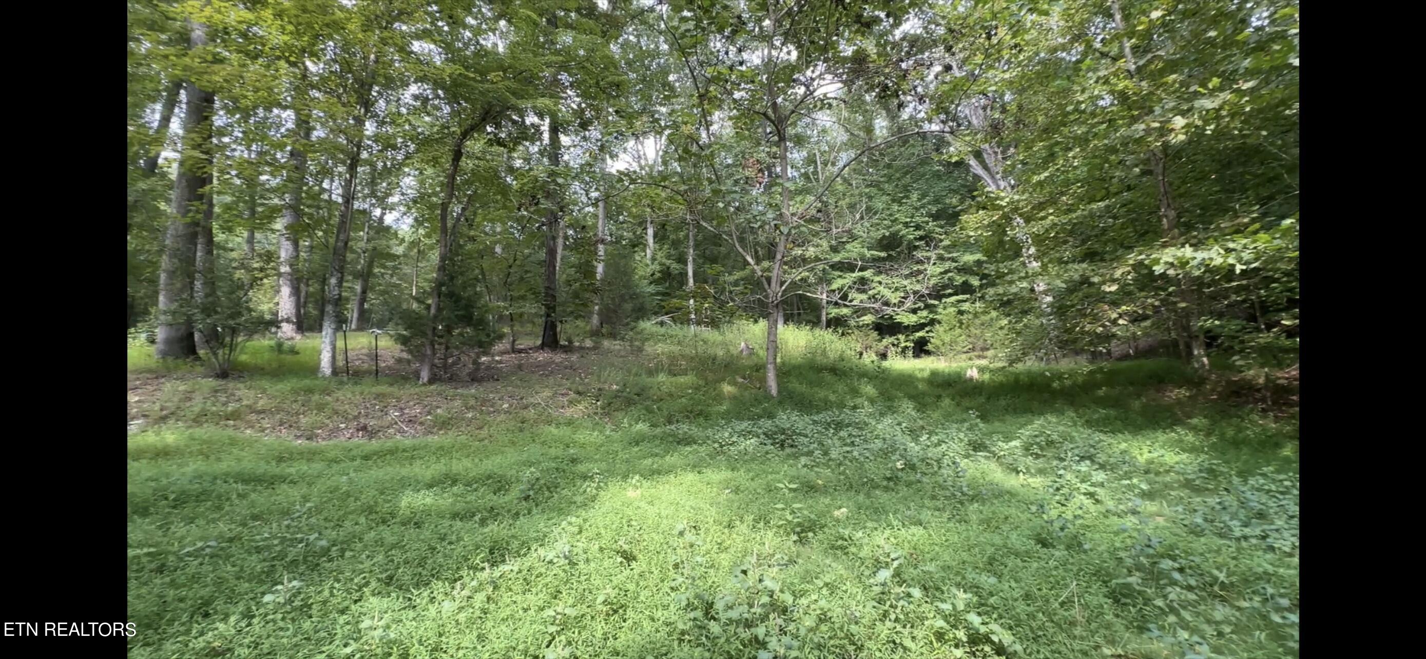 178 Mill Creek Court