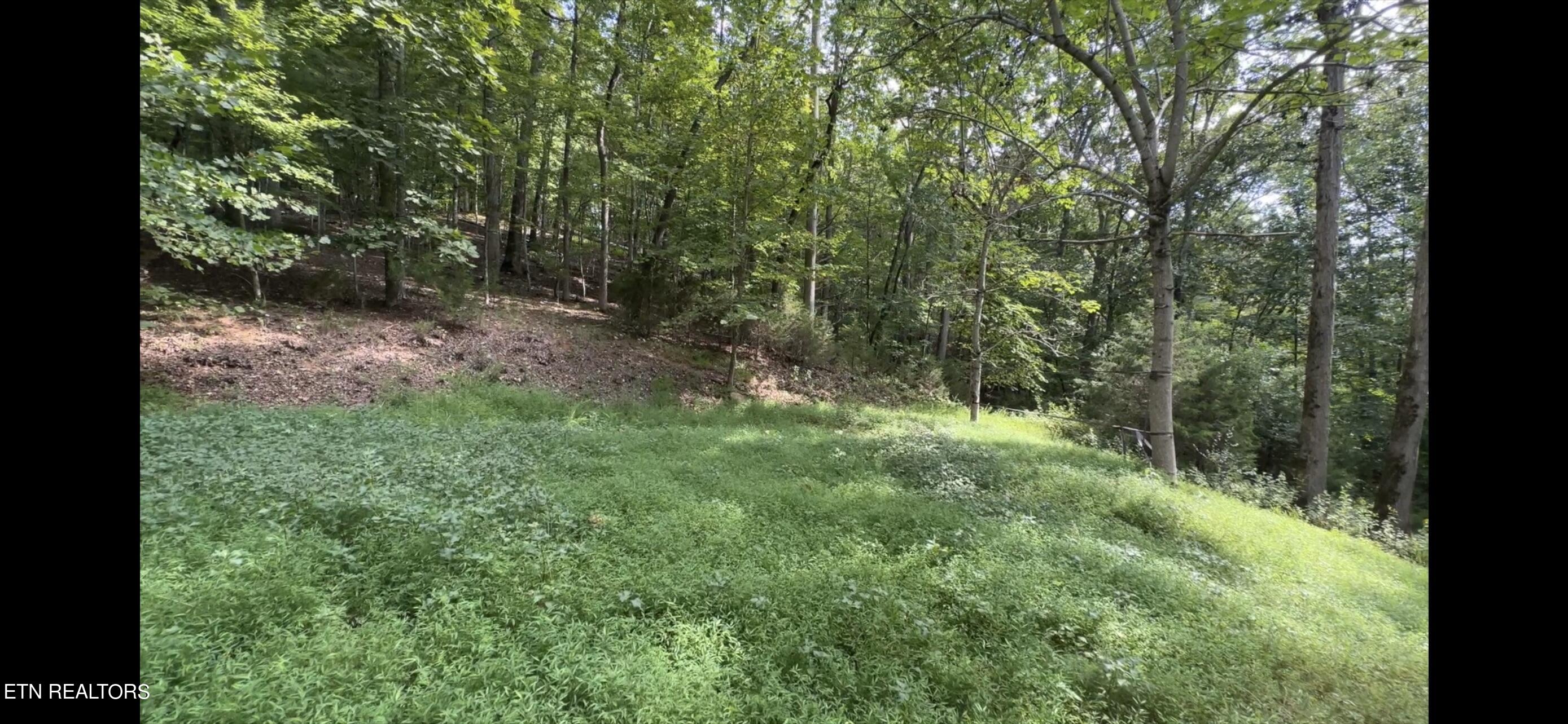 178 Mill Creek Court