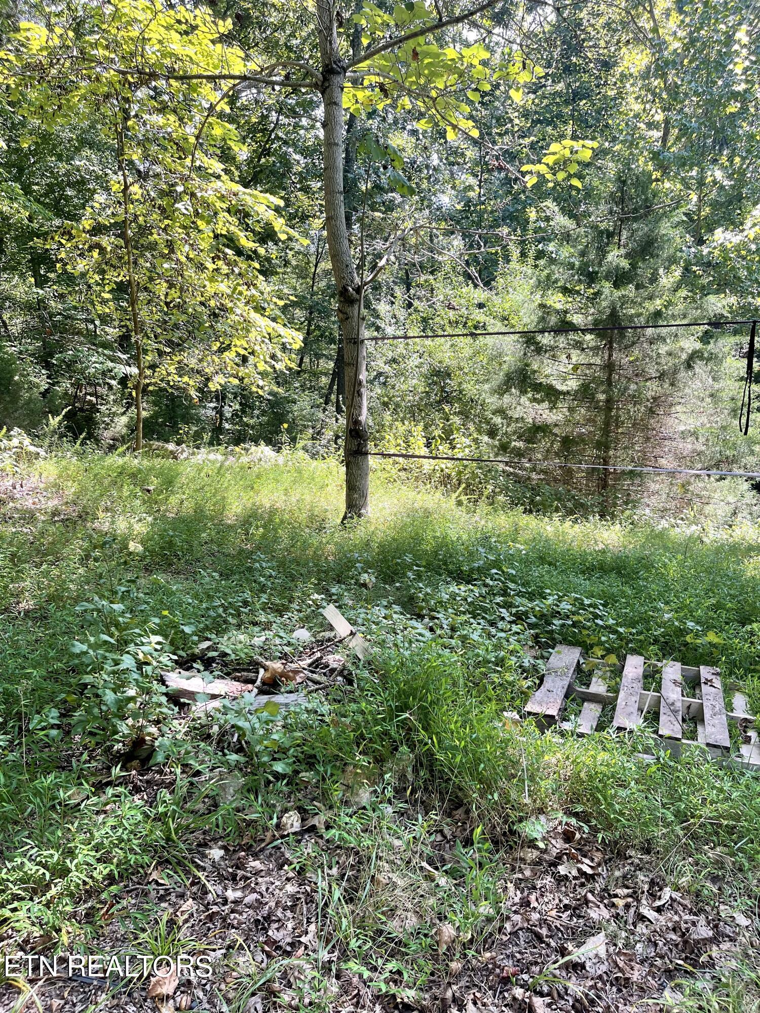 178 Mill Creek Court