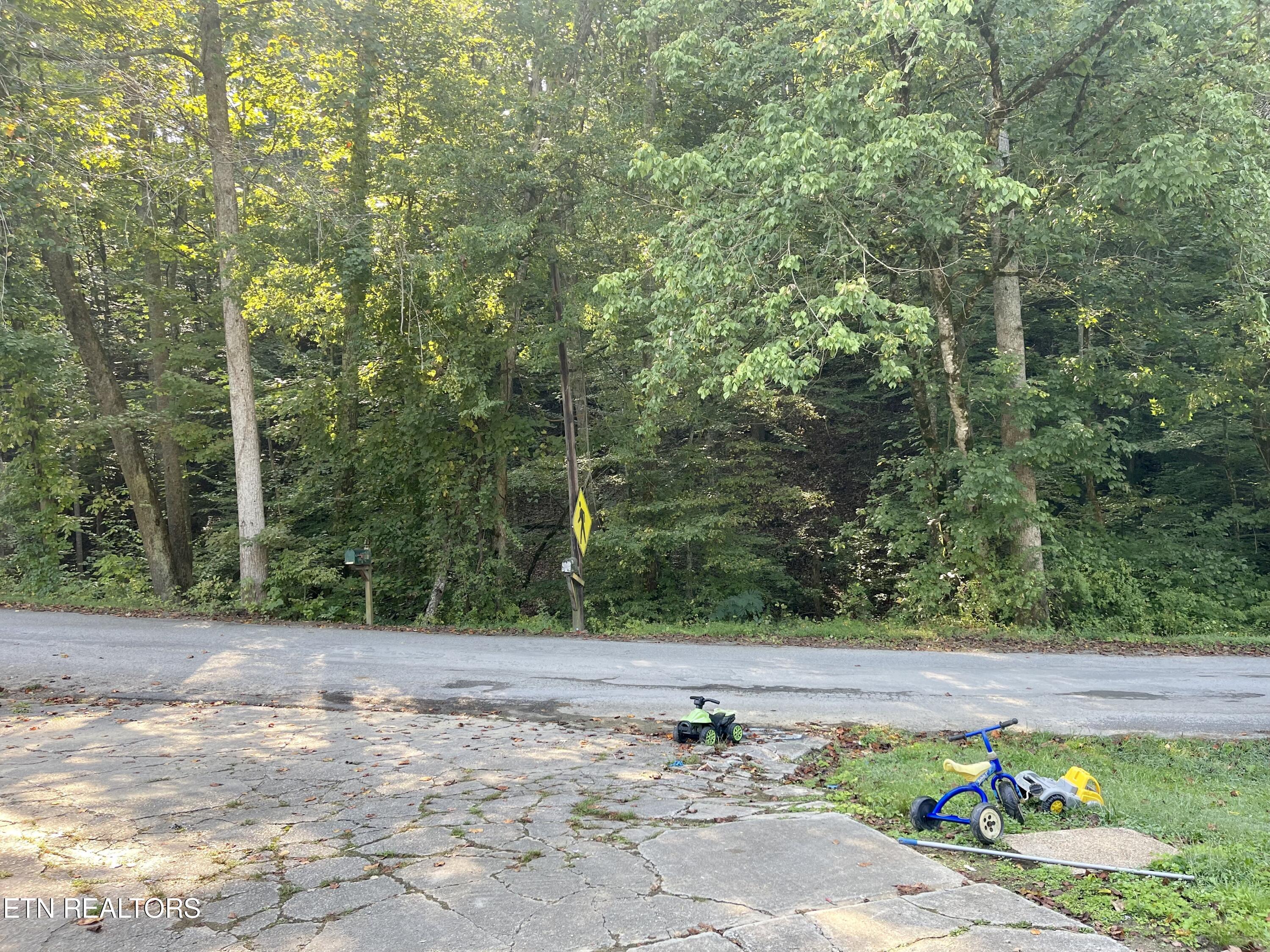 245 N Dark Hollow Rd N Rd