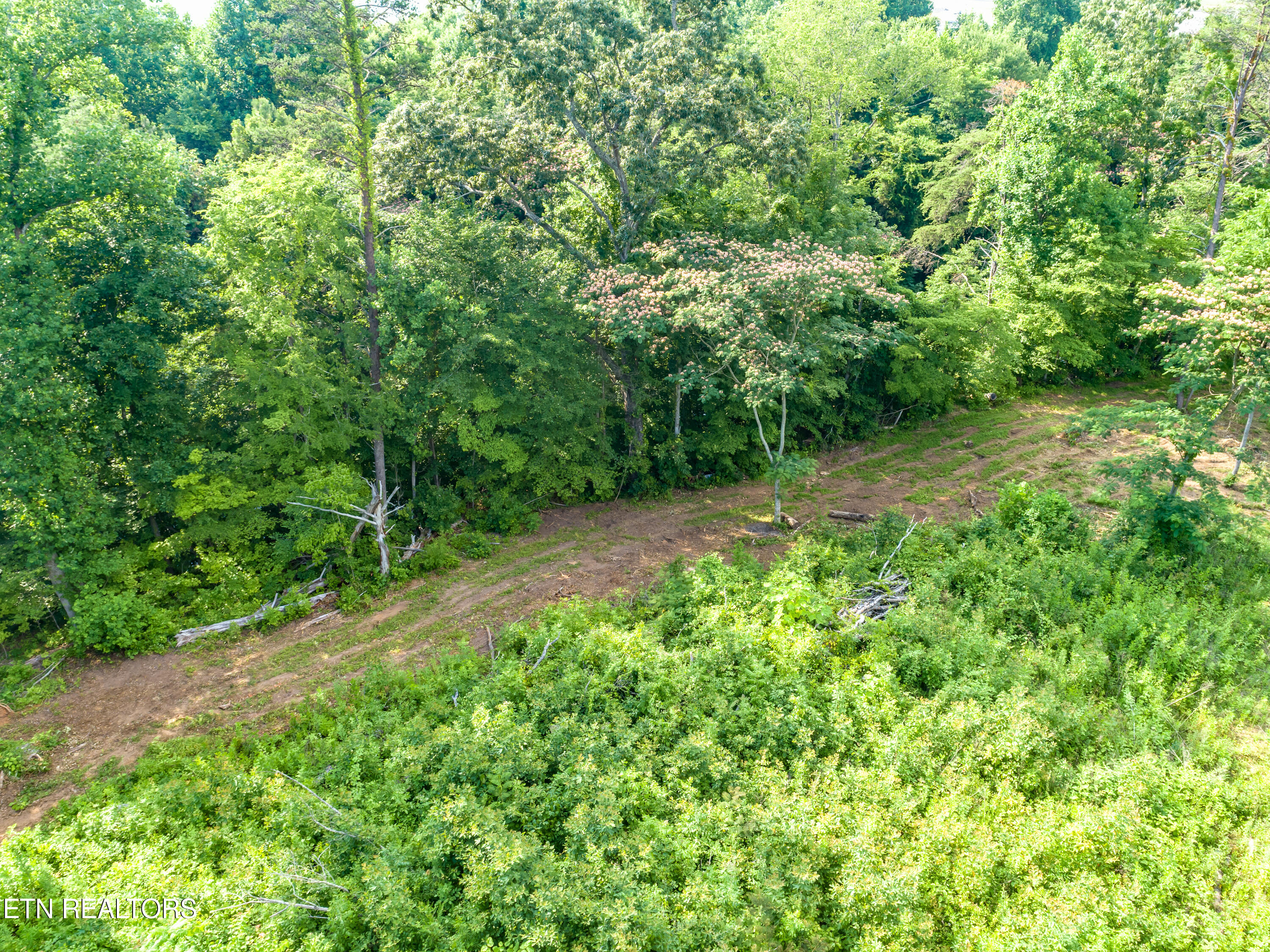 Tobby Hollow Lane