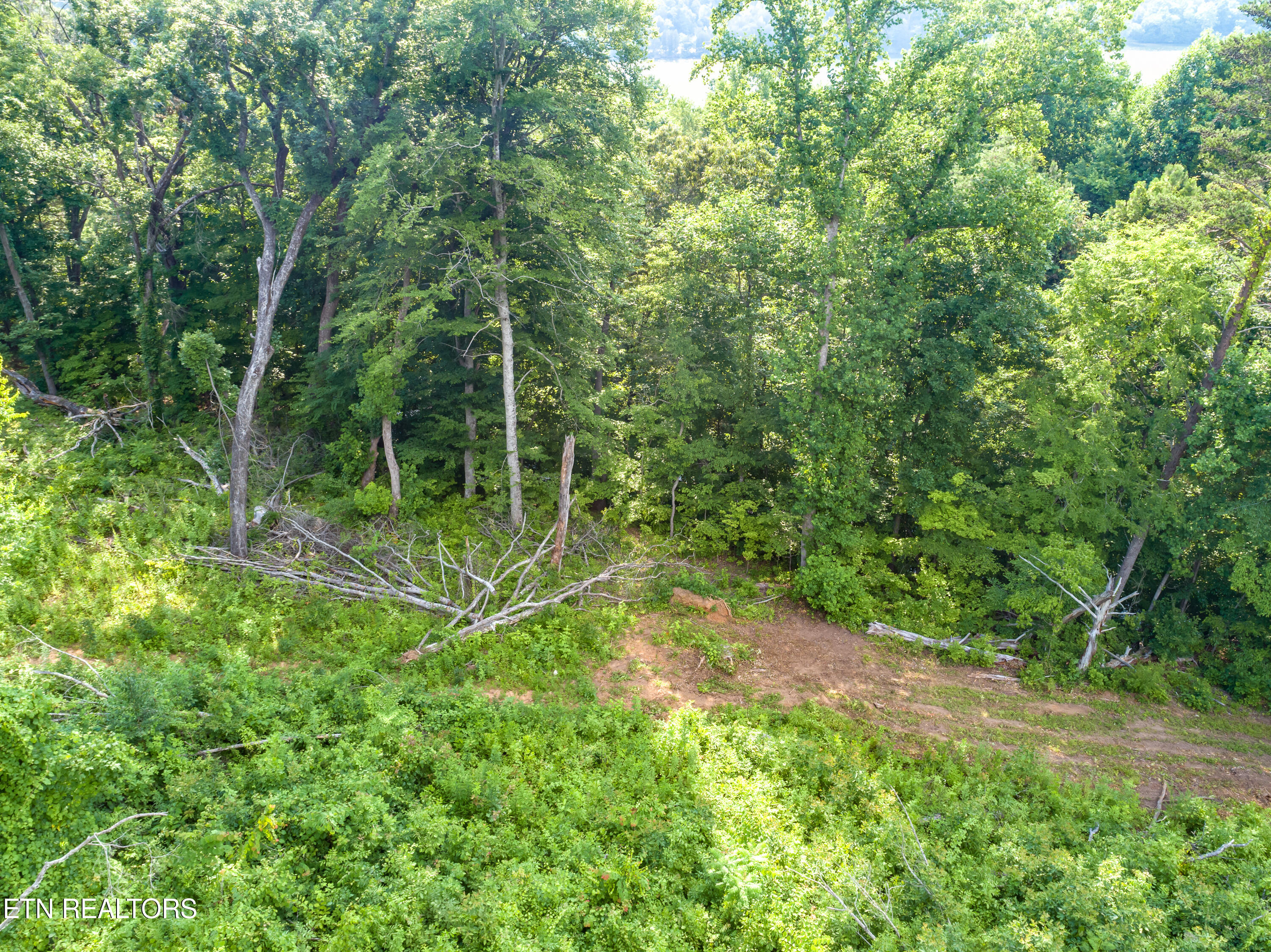 Tobby Hollow Lane