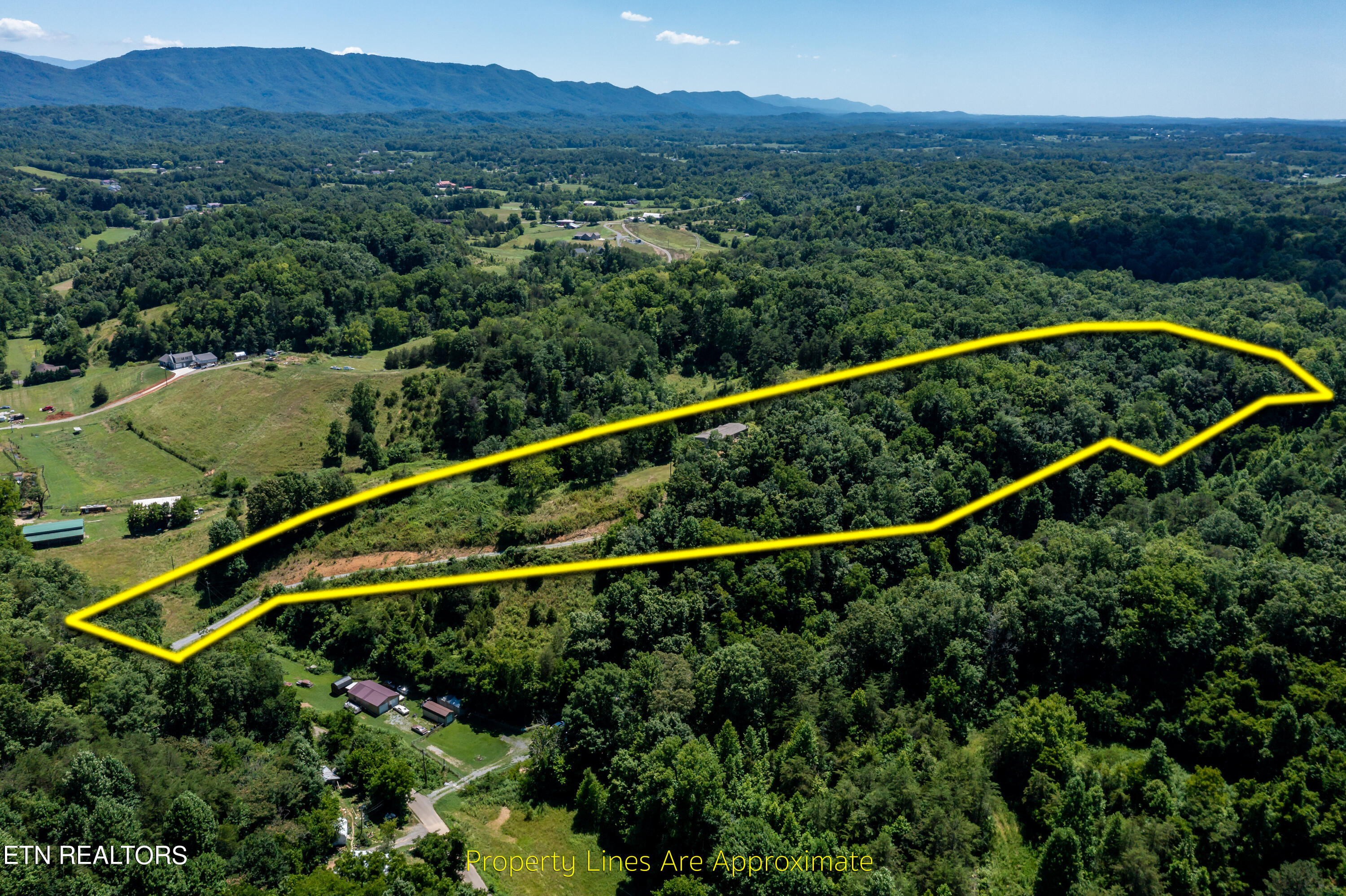 246 Reagan Branch Road