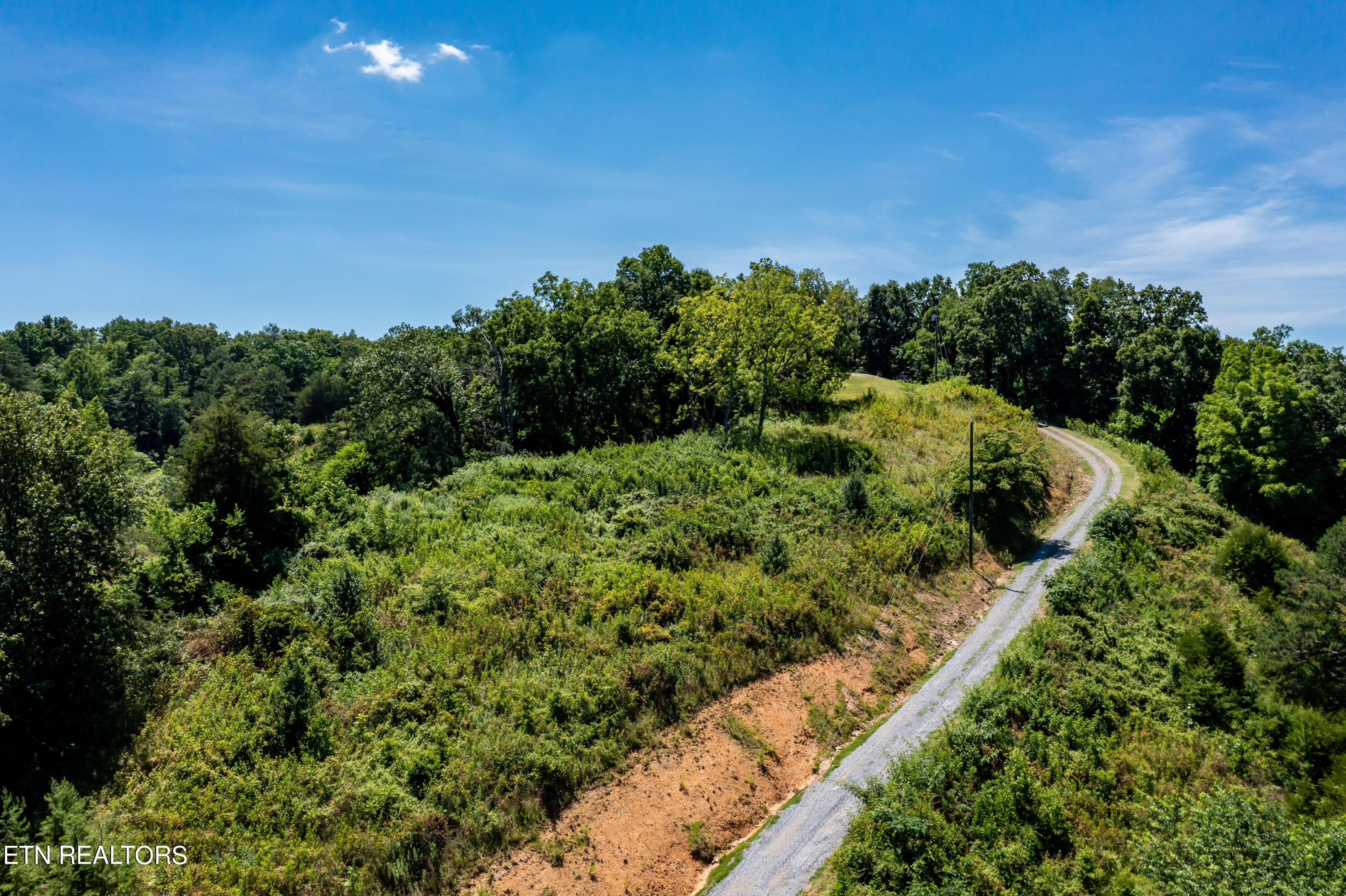 246 Reagan Branch Road