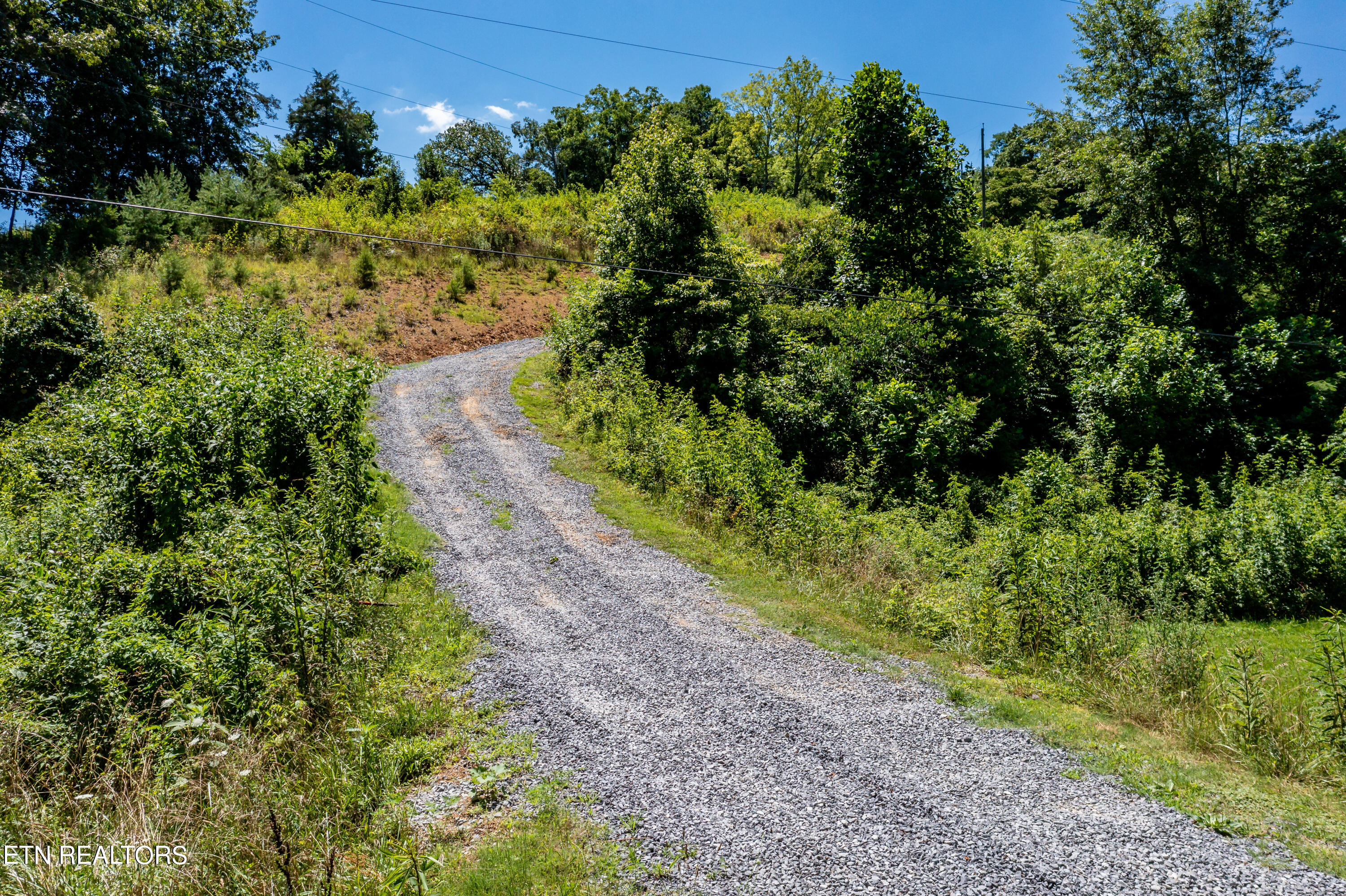 246 Reagan Branch Road