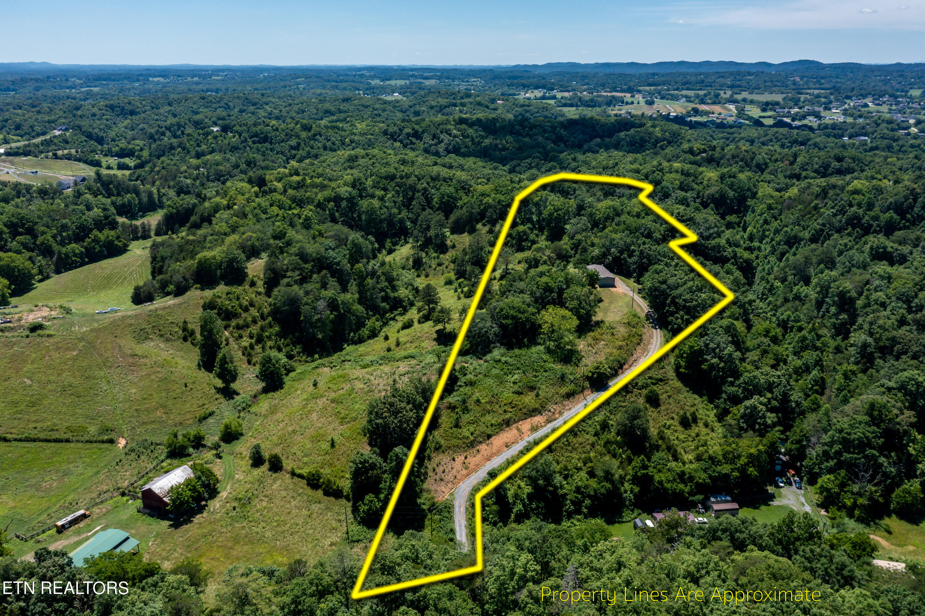 246 Reagan Branch Road