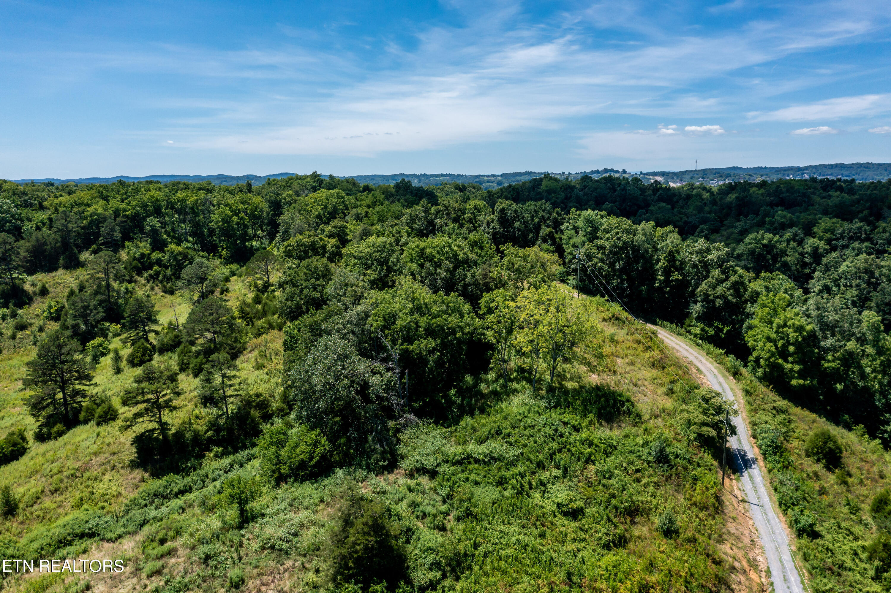 246 Reagan Branch Road