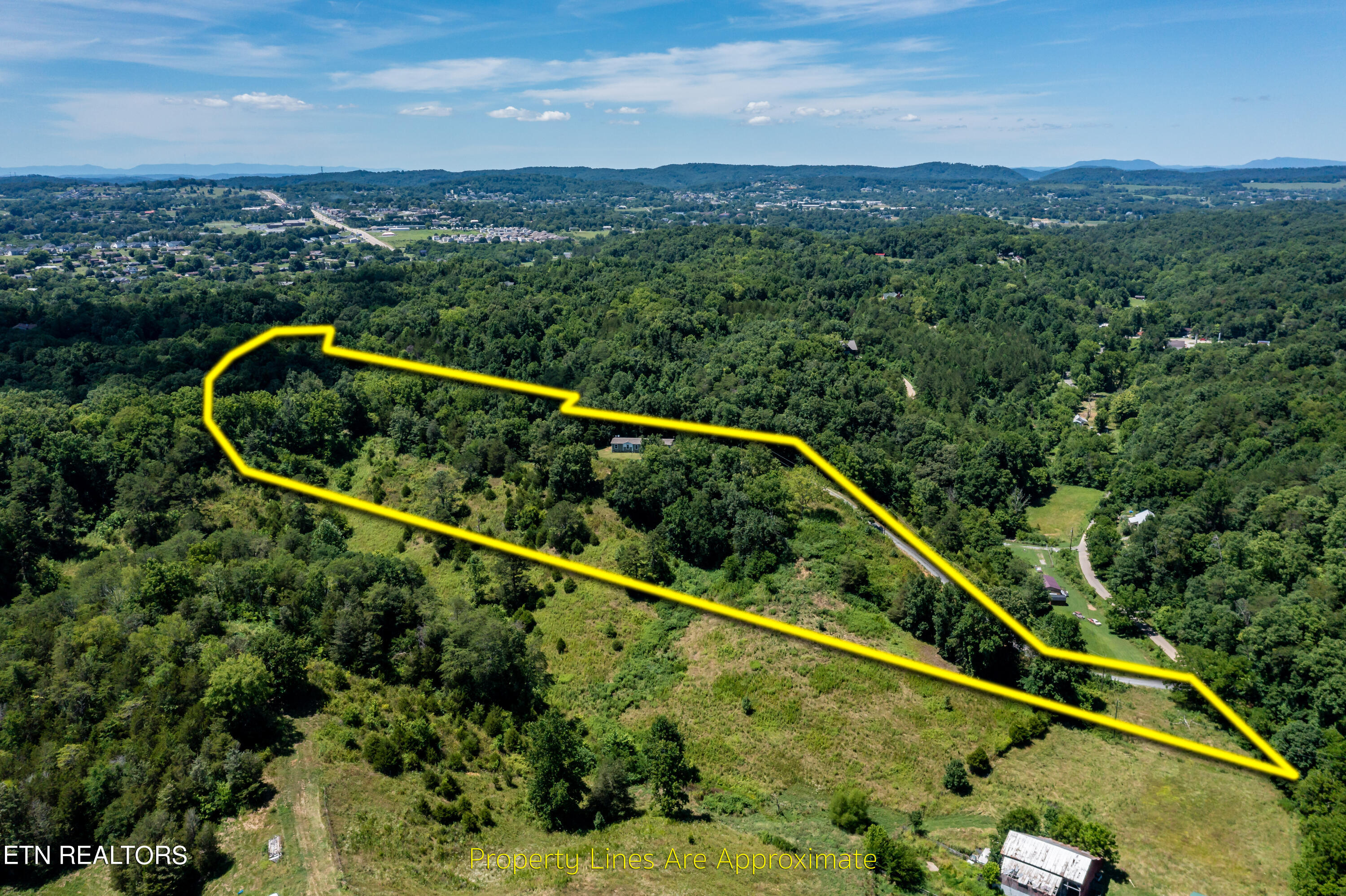 246 Reagan Branch Road